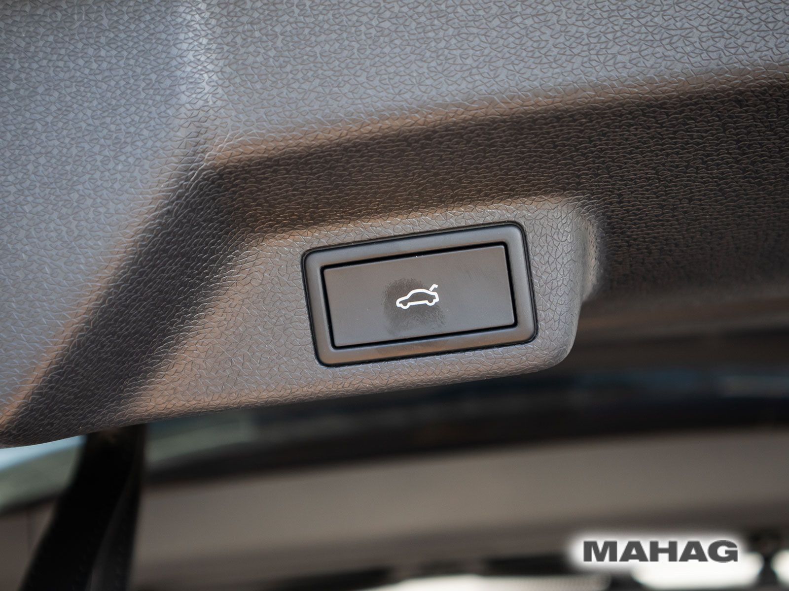 Fahrzeugabbildung Volkswagen ID.Buzz Pro