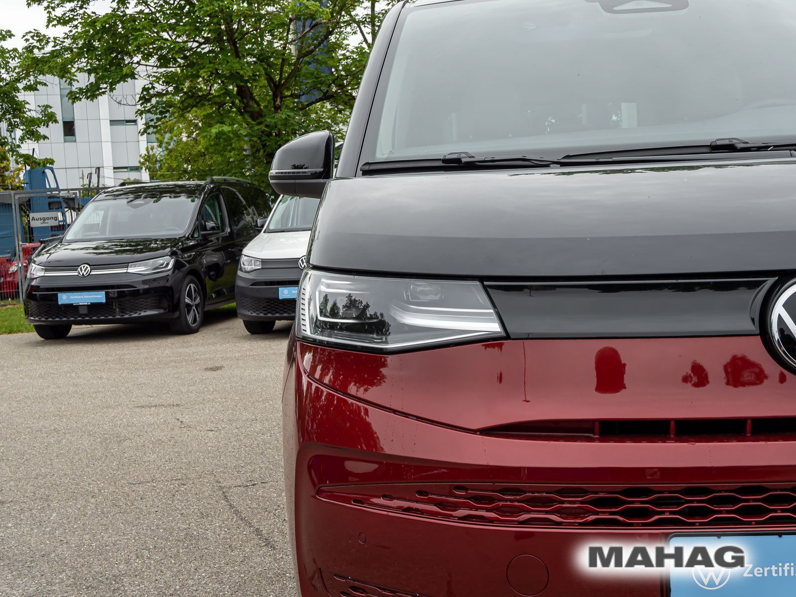 Fahrzeugabbildung Volkswagen Multivan Basis-Modell