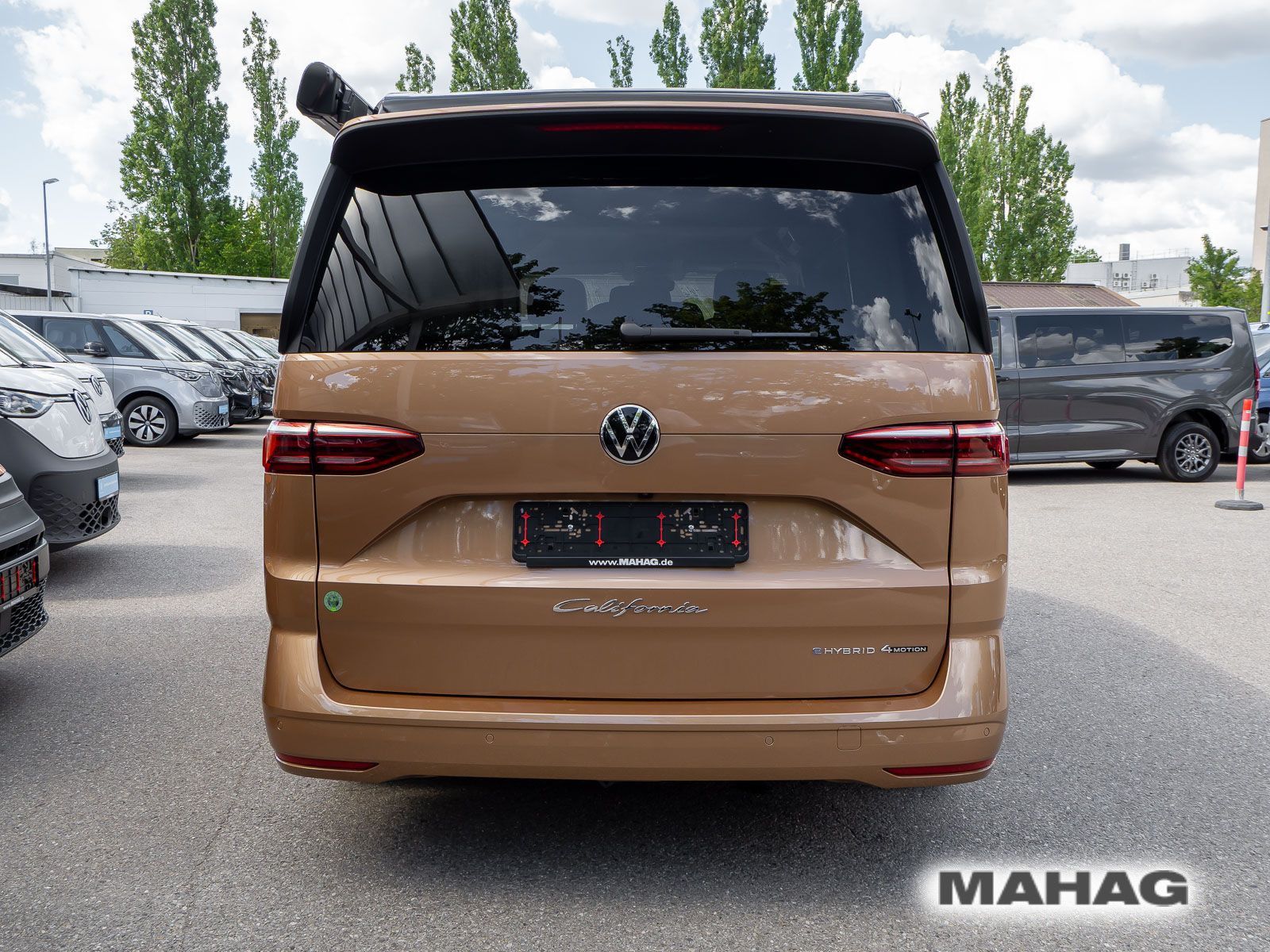 Fahrzeugabbildung Volkswagen California Ocean
